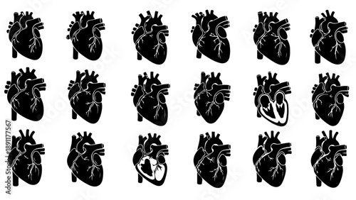 Multiple human heart illustrations in black and white
