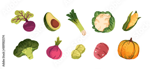 Set of different organic vegetables. Various veggies- beet, avocado, cauliflower, onion, cabbage, pumpkin. Healthy farm food, agriculture crops. Flat isolated hand drawn vector illustrations on white