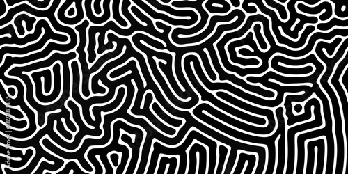 Intricate black and white abstract line drawing resembling a complex maze