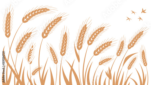 Vector art of golden wheat field, flying birds, rural summer scene, farmland illustration, countryside landscape, agricultural vector graphics