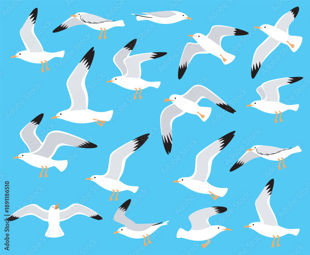Fototapeta premium Vector set of beautiful seagulls, detailed illustrations of coastal birds in flight and resting, nature wildlife, hand-drawn vector collection