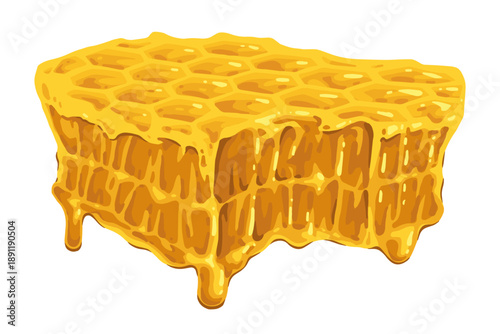 Honeycomb from a beehive