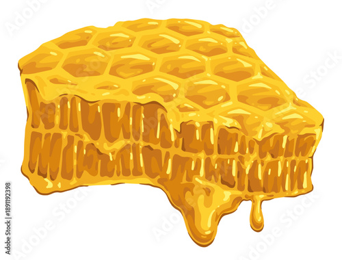 Honeycomb drips honey