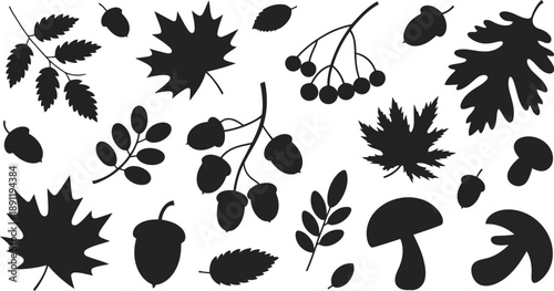 Black silhouettes of autumn leaves, acorns, berries, and mushrooms are scattered on a white background