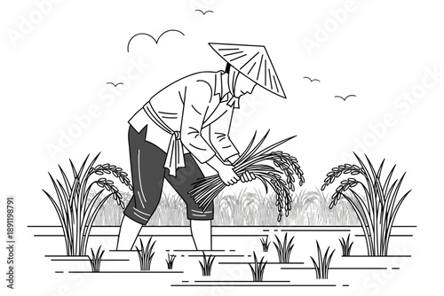 A farmer wearing a conical hat harvests rice in a paddy field, a serene rural agricultural scene depicting traditional farming practices and the bounty of nature