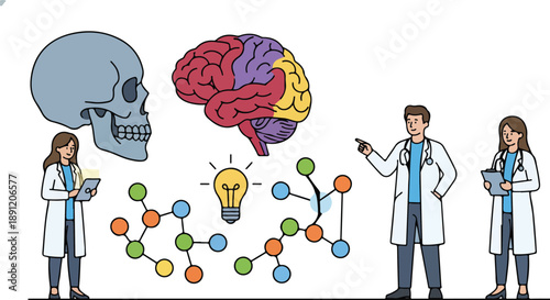 Scientists Analyzing Human Brain and Skull.