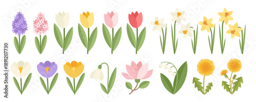 Set of beautiful spring flowers in flat geometric style. Tulips, daffodils, crocuses, hyacinth, magnolia, snowdrops, lily of the valley, dandelion. Botanical Vector illustration.