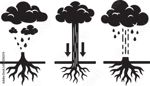 Weather Cycle Process Tree Roots Cloud Rain Fall Illustration