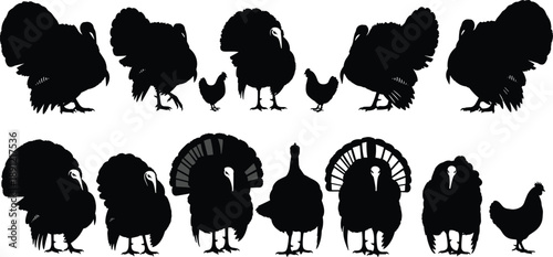 Set of turkey and chicken silhouettes in black showing farm poultry poses for agricultural illustration, livestock design, and vector graphics use