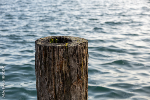 Принти на полотні Weathered wooden mooring post standing in lake water