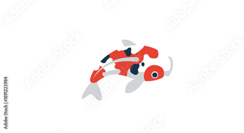 Koi Fish Swimming Orange White Fins.