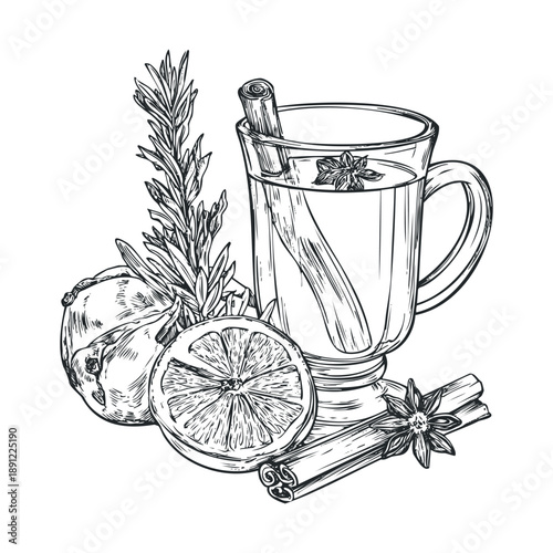 Hand drawn sketch of a warming spiced beverage in a glass mug with orange, cinnamon sticks, star anise, and rosemary, suitable for fall and winter drink menus or cozy recipe content.