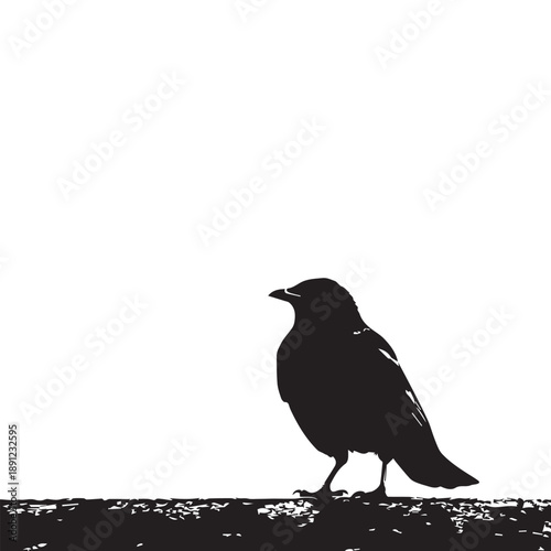 Vector image of a silhouette of a raven on a white background
