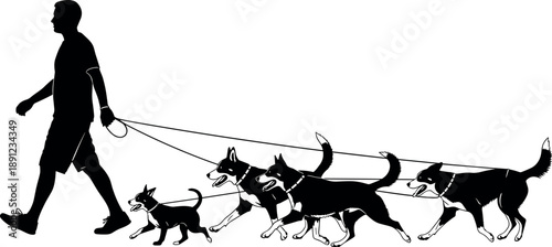 Man walking multiple dogs silhouette illustration showing pet owner with leashed dogs, active lifestyle, canine companionship scene, black figures isolated on white background