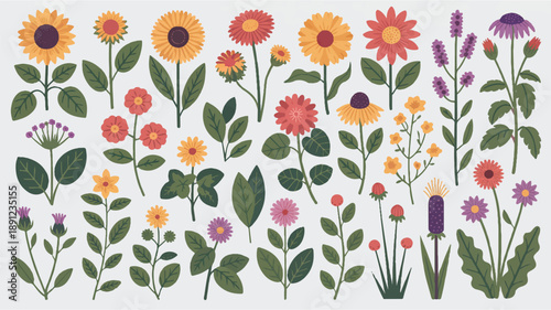 Modern botanical illustration vector set with bold outlines and crisp edges on white background