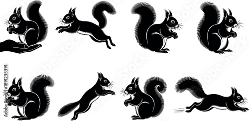 Squirrel silhouette action collection featuring jumping, running, sitting, eating poses, cute woodland animal behavior, wildlife motion study, and forest nature illustration set