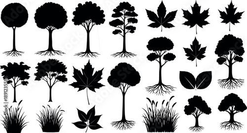 Tree and leaf silhouettes collection featuring deciduous trees roots foliage grass and botanical elements in black flat style isolated on white background for nature design and stock illustration use