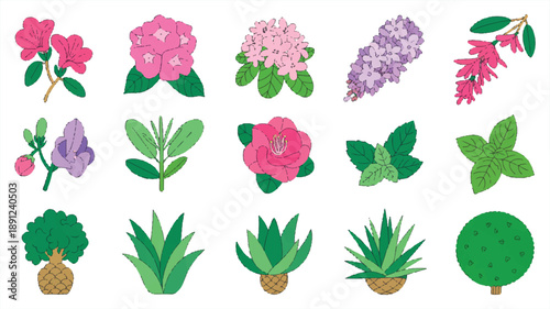 Set of modern floral herbs and shrub vector elements, simple flat illustration with sharp edges, bold outlines, and clean lines on white.