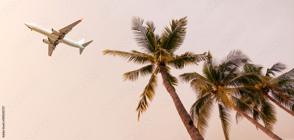 Obraz premium The Airplane over coconut trees, travel to summer vacation destination to relax on a beautiful tropical beach. panoramic Banner background.
