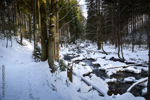 Szklarka River in winter time near Szklarska Poręba, Gianat Mountains, Karkonosze, Poland