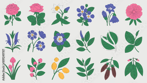 Vibrant floral and herbal mockups, minimalist flat design with bold outlines and clean lines fused with silhouettes on white.