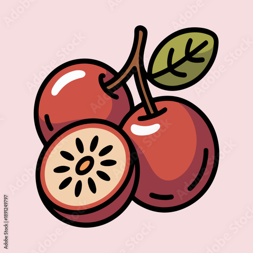 Camu Camu Vector Illustration of Amazonian Superfood Berry with Cross Section