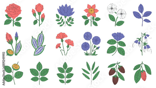 Vibrant floral and herbal mockups, minimalist flat design with bold outlines and clean lines fused with silhouettes on white.