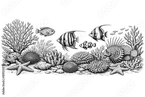 Intricate marine life illustration with fish and coral reef details