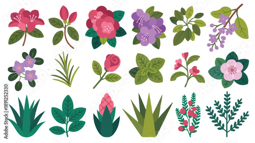 Floral herb shrub vector set, modern flat illustration with clean lines, sharp edges, bold outlines, and distinct shapes on white.