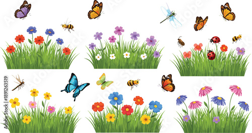 Vector illustration of colorful flower patches with butterflies, bees, dragonflies, and ladybugs on white background