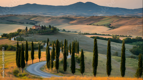 tuscan. Scenic Tuscan countryside road winding through rolling hills under warm sunset light. inspiring travel planning, travel magazines, designed for travel destination branding.