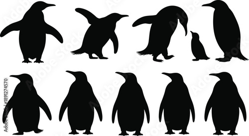 Penguin silhouette icon set featuring adult and baby penguins in standing and walking poses, black Antarctic wildlife shapes isolated on white background for nature design use