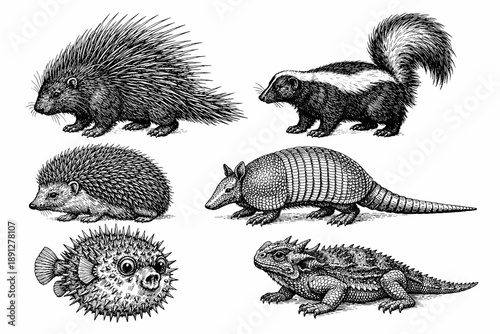 Detailed illustrations of various unique animals in black and white