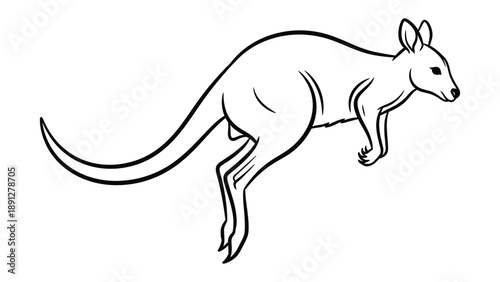 Kangaroo in mid-air: A sleek silhouette of a kangaroo captured mid-leap, showcasing its powerful hind legs and iconic upright posture. A monochrome display of the animal's natural grace and agility.