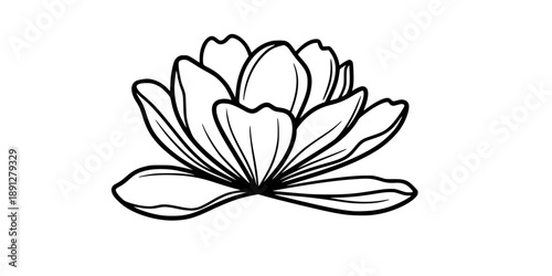 A stylized flower head with petals on a horizontal line, symbolizing spring, blooming, and minimalism. Drawing in one line art style with editable black stroke. 
