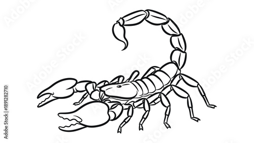 Scorpion Illustration: A detailed black and white illustration of a scorpion showcases its intricate features, with a curled stinger poised and ready.