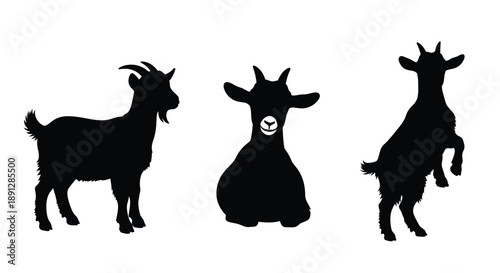 Three goats in varying poses depicted as a striking silhouette