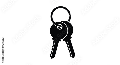 Two keys hanging on a ring a striking black form silhouette