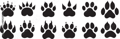Paw Prints: A series of diverse animal paw prints, rendered in stark black, set against a bright field, capture the essence of animal tracks.