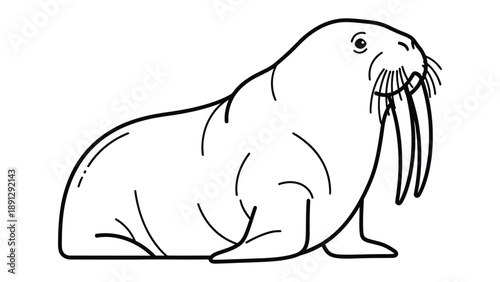 Gentle Giant of the Arctic: A striking line art illustration presents a majestic walrus, its defining features highlighted against a clean backdrop. It embodies strength, resilience.