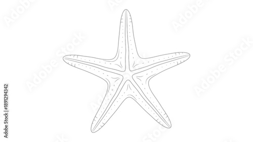 Starfish Outline: A detailed black and white illustration of a starfish, its symmetrical form and delicate structure stand out against a minimalist backdrop.