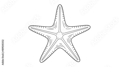 Celestial Starfish Silhouette: The intricate detail of a singular starfish, elegantly etched in monochrome, presenting the serene form and symmetry of the aquatic life.