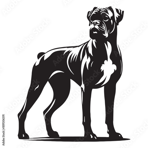 Boxer Dog Vector Silhouette Design Featuring Strong Athletic Body, Playful Expression, Loyal Nature, Protective Instincts, Energetic Personality, Family-Friendly Temperament.
