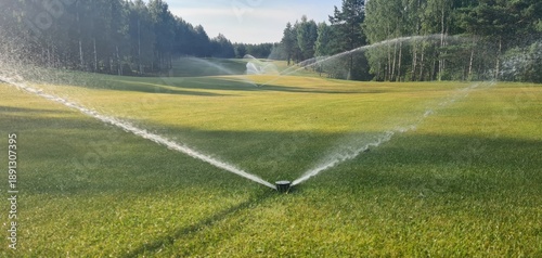 Bild auf Leinwand Sprinklers watering a lush green golf course under a clear blue sky in early mor