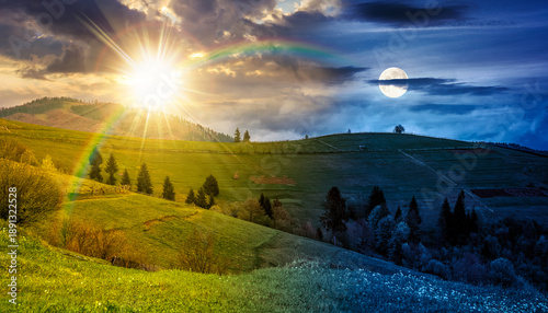 Bilde på lerret scenery with grassy rural fields near forest on hill