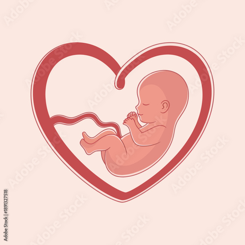 Baby Fetus Inside Heart Illustration.