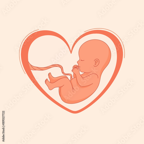 Baby Fetus Inside Heart Shape Illustration.