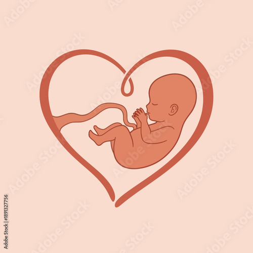 Baby in Heart with Umbilical Cord.