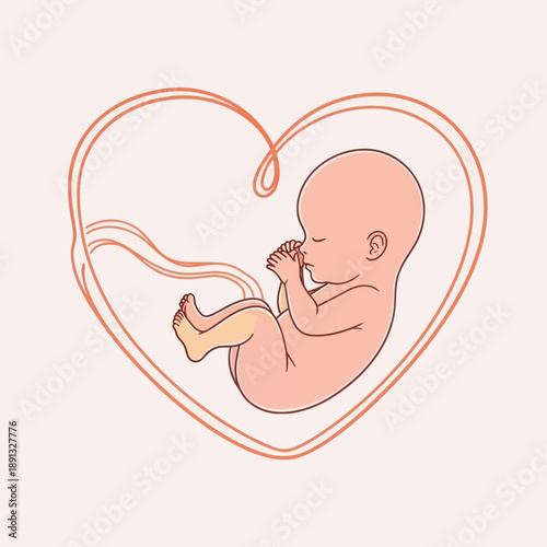 Illustration of Fetus in Heart Shape.