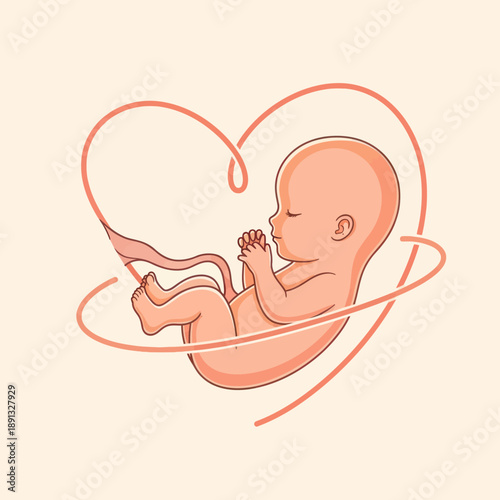 Baby Fetus Inside Heart Shape Illustration.